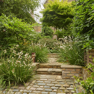 Highgate Traditional Front Garden