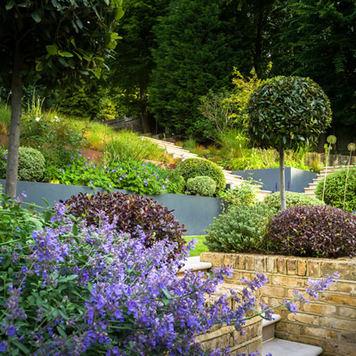 Wimbledon Large Sloping Garden