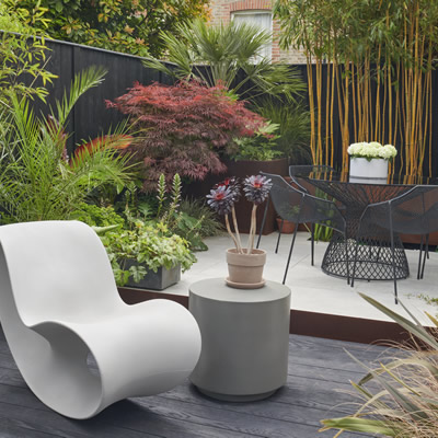Clapham Courtyard Garden Oasis