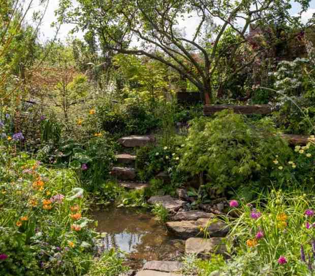 RHS Chelsea 2024 The Flood Resilient Garden 3 - thumbnail