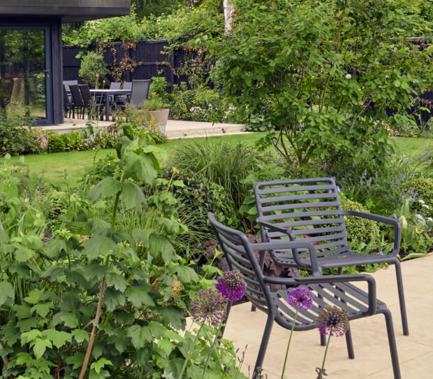 Wimbledon Garden With Pergola 2 - thumbnail