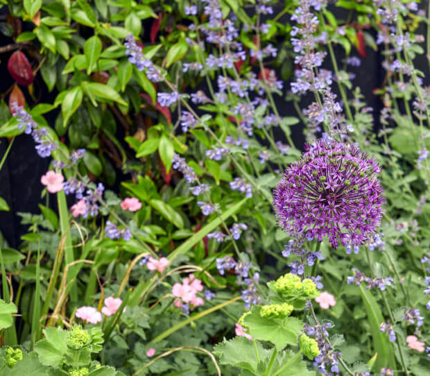 Wimbledon Garden With Pergola 8 - thumbnail