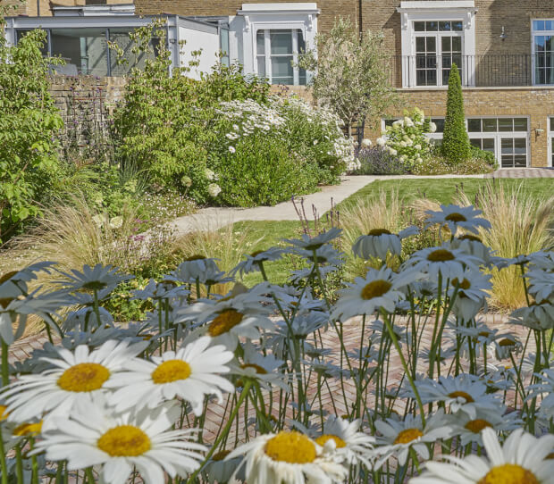 Putney Large Walled Garden 7 - thumbnail