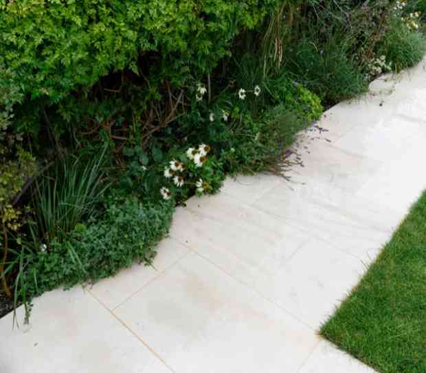 Wimbledon Urban Garden - thumbnail