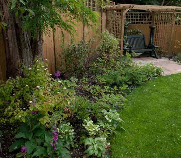 West Putney, Large Garden - thumbnail