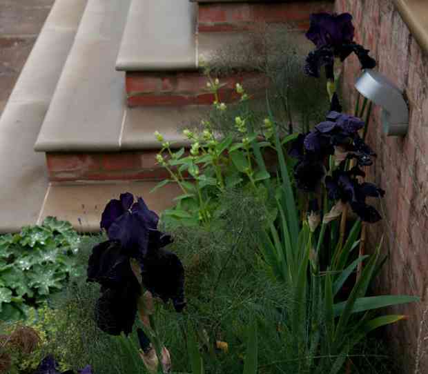 West Putney, Large Garden - thumbnail