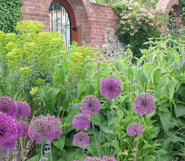 Marlow Country Garden - thumbnail