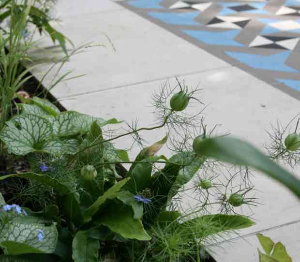 West London Front Garden - thumbnail