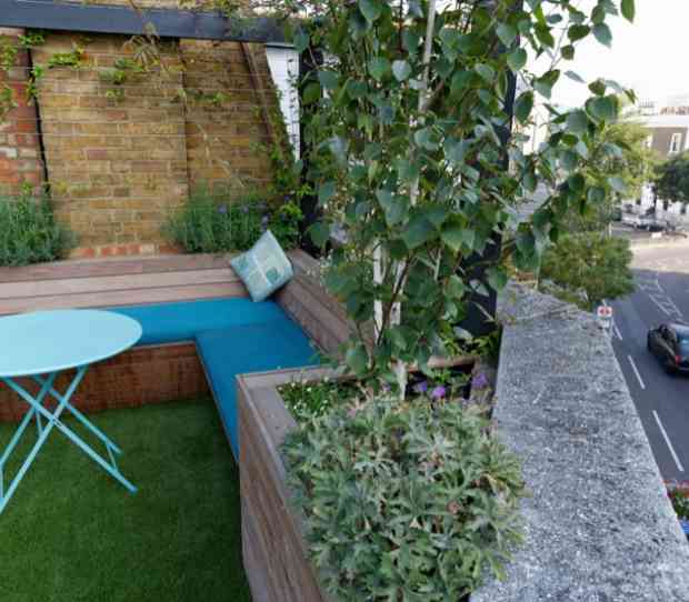 Pimlico Roof Garden - thumbnail