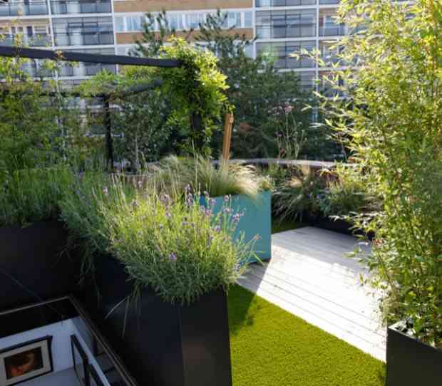 Pimlico Roof Garden - thumbnail