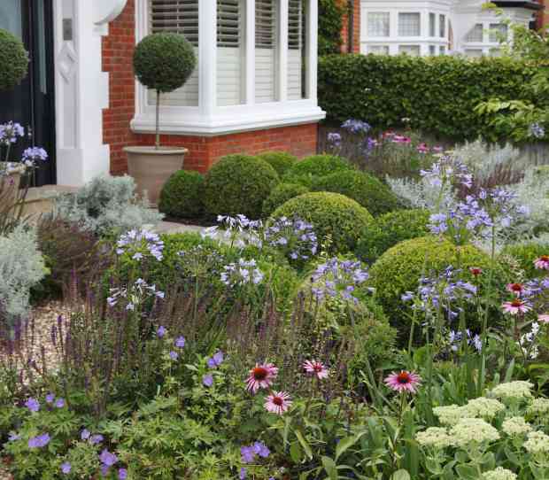 Putney Flowering Front Garden - thumbnail