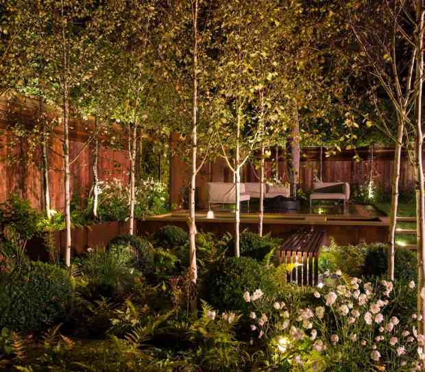 Wimbledon Large Garden at Night - thumbnail