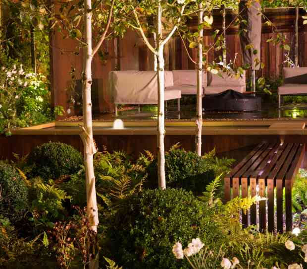 Wimbledon Large Garden at Night - thumbnail