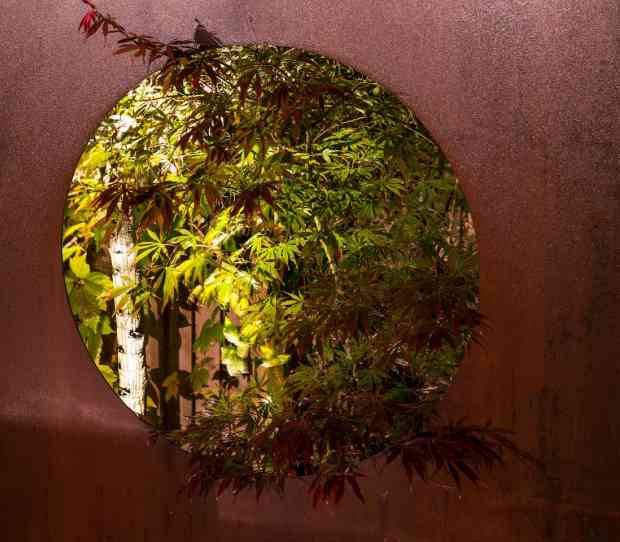 Wimbledon Large Garden at Night - thumbnail