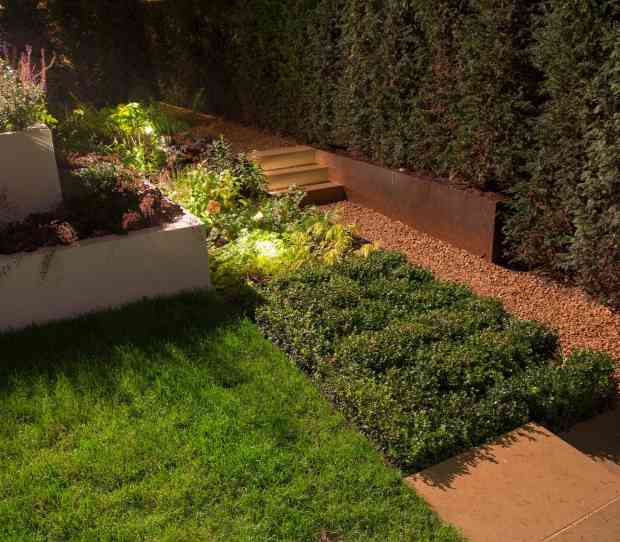 Wimbledon Large Garden at Night - thumbnail
