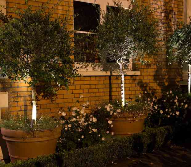 Wimbledon Large Garden at Night - thumbnail