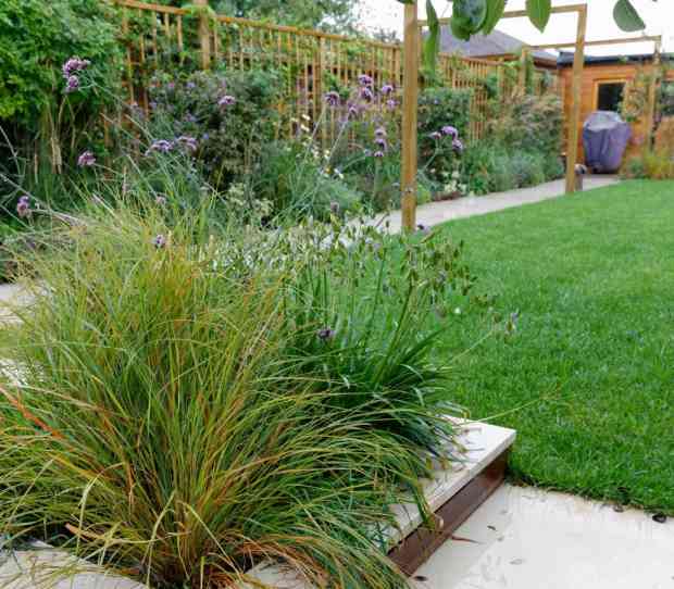 Wimbledon Urban Garden - thumbnail