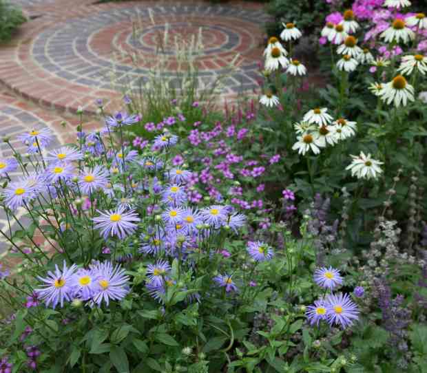 Chiswick Family Gardeni - thumbnail