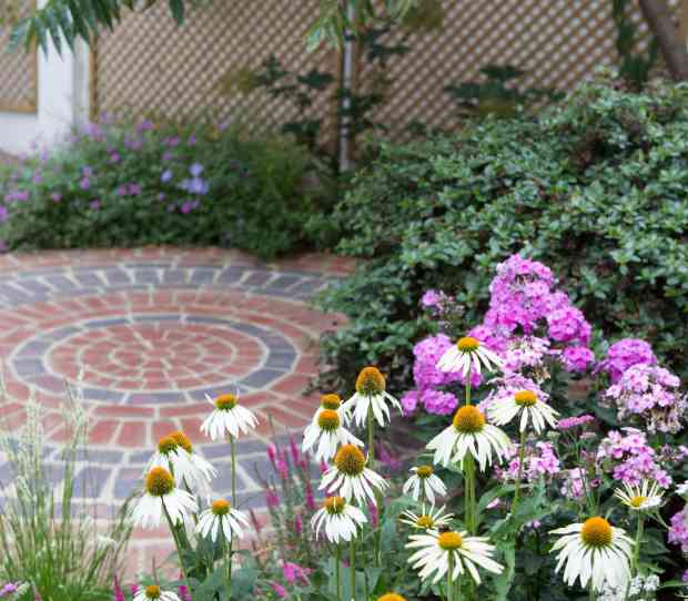 Chiswick Family Gardeni - thumbnail