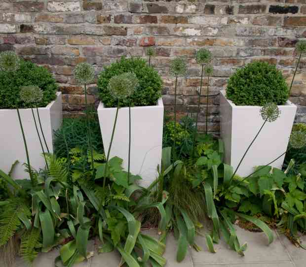 Chelsea SW10 Garden - thumbnail