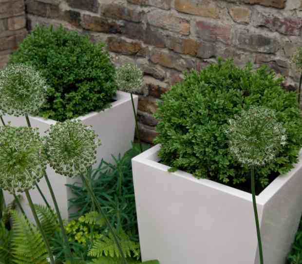 Chelsea SW10 Garden - thumbnail