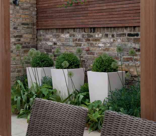 Chelsea SW10 Garden - thumbnail