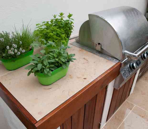 Fulham Garden - thumbnail