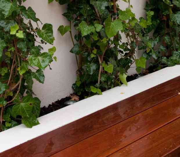 Fulham Garden - thumbnail