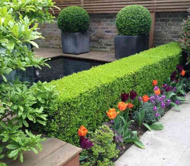 Tooting Garden - thumbnail