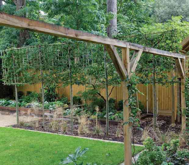 Coombe Large Back Garden with Climbing Frame - thumbnail