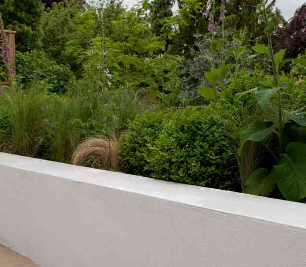 West Putney, Large Back Garden - thumbnail