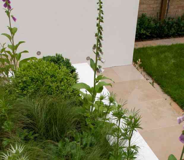 West Putney, Large Back Garden - thumbnail