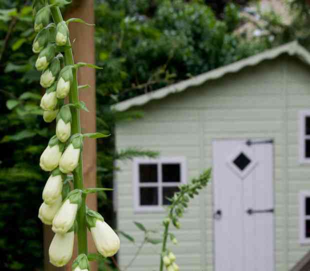 West Putney, Large Back Garden - thumbnail