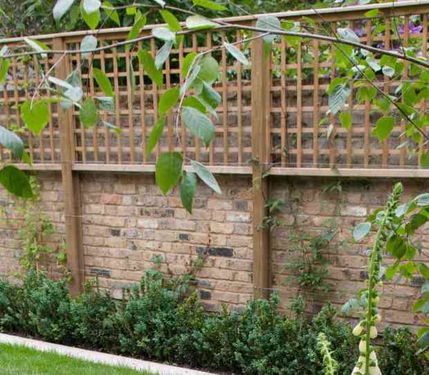 West Putney, Large Back Garden - thumbnail