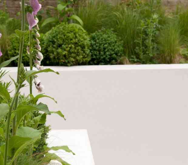 West Putney, Large Back Garden - thumbnail