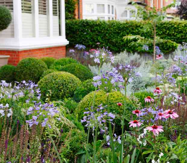 Putney Flowering Front Garden - thumbnail