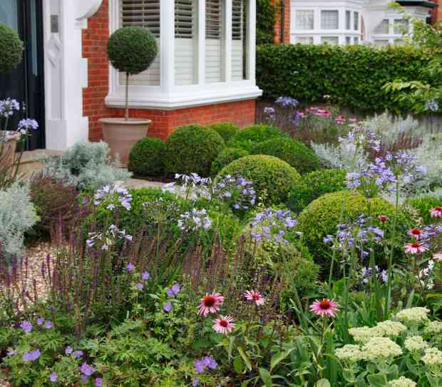 Putney Flowering Front Garden - thumbnail