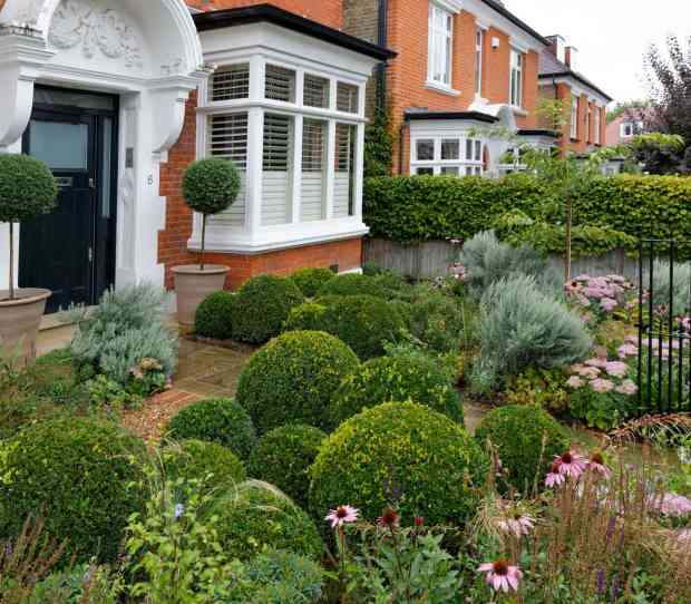 Putney Flowering Front Garden - thumbnail