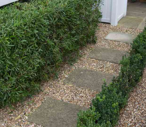 Wandsworth Common, Front Garden - thumbnail