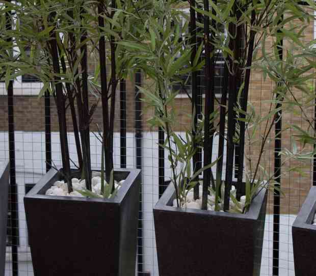 Chelsea Roof Terrace - thumbnail