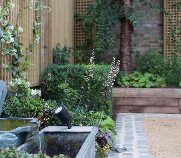 Peter Reader Garden, Hampstead - thumbnail