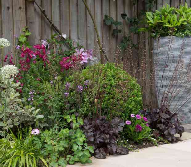 Southfields Small Garden - thumbnail