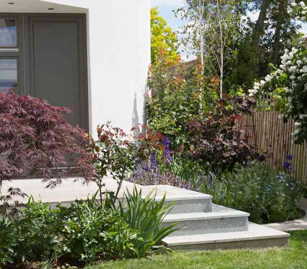 Back Garden, Wimbledon - thumbnail