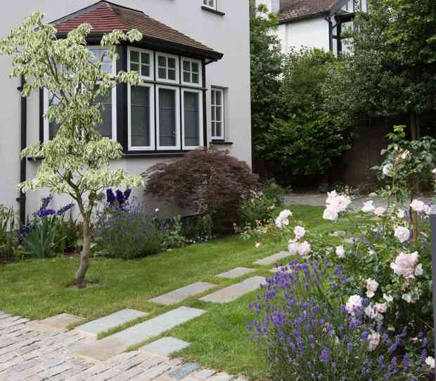 Front Garden, Wimbledon - thumbnail
