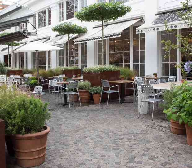 Bluebird Café, Kings Road Chelsea - thumbnail