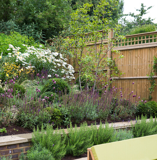 Large Wimbledon Garden - thumbnail
