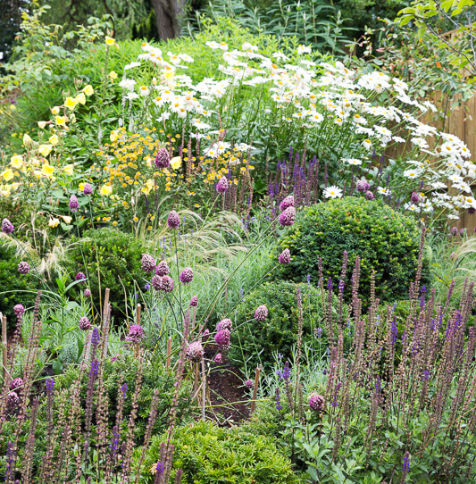 Large Wimbledon Garden - thumbnail