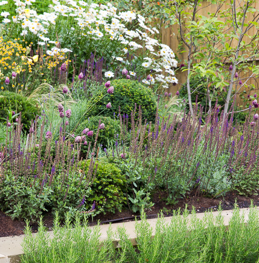 Large Wimbledon Garden - thumbnail