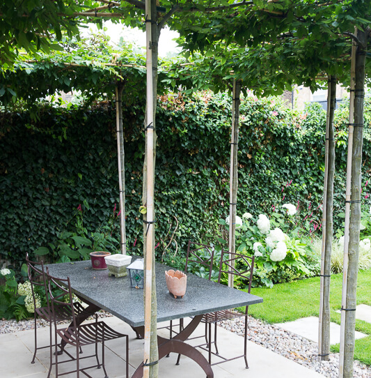 Medium Size Garden in SW13 - thumbnail