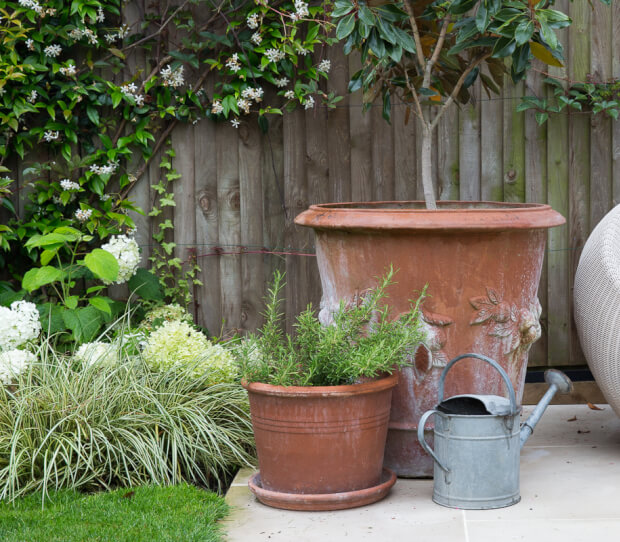 Medium Size Garden in SW13 - thumbnail